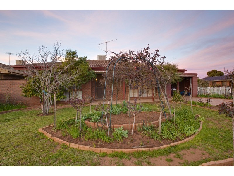 4 Johnson Drive, Irymple VIC 3498