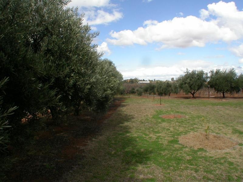 35 Murray Street, Red Cliffs VIC 3496