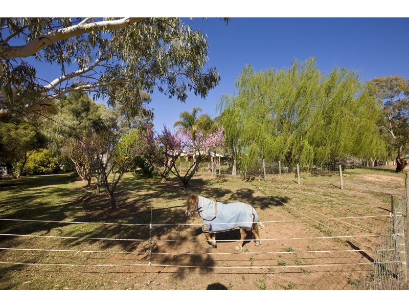 3817 Walnut Avenue, Mildura South VIC 3501