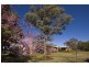 3817 Walnut Avenue, Mildura South VIC 3501