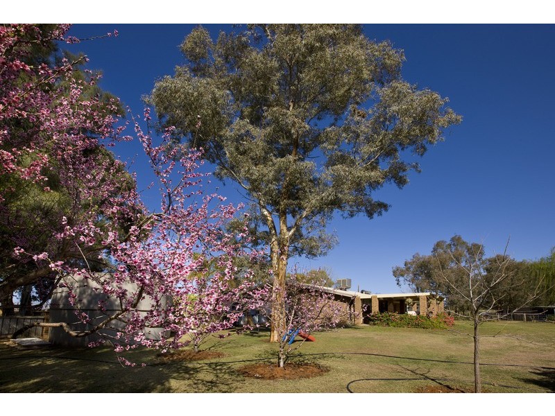 3817 Walnut Avenue, Mildura South VIC 3501