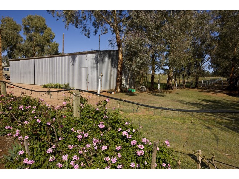 3817 Walnut Avenue, Mildura South VIC 3501