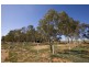 3817 Walnut Avenue, Mildura South VIC 3501