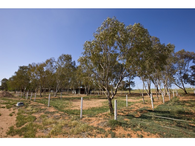 3817 Walnut Avenue, Mildura South VIC 3501