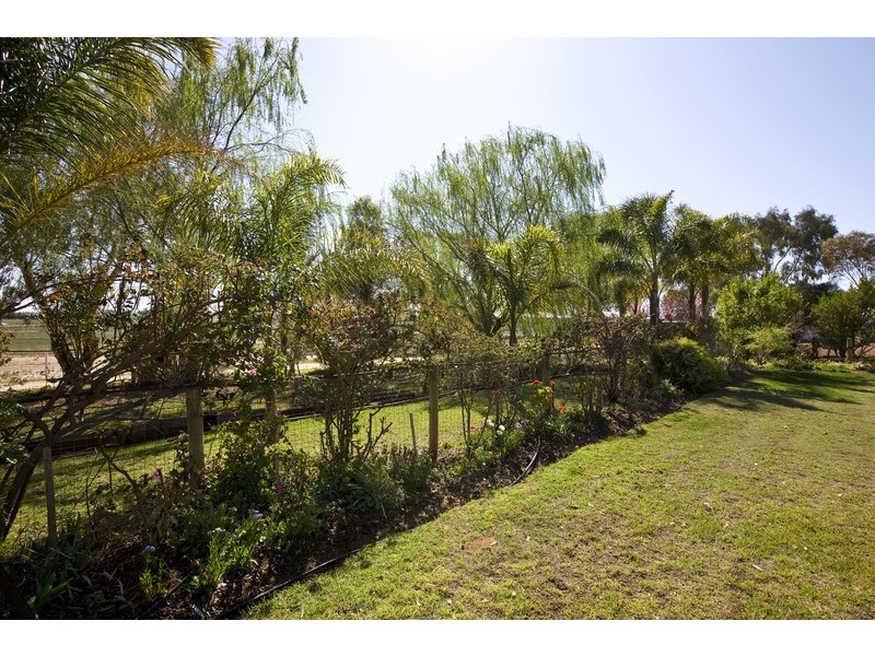 3817 Walnut Avenue, Mildura South VIC 3501