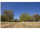 3817 Walnut Avenue, Mildura South VIC 3501