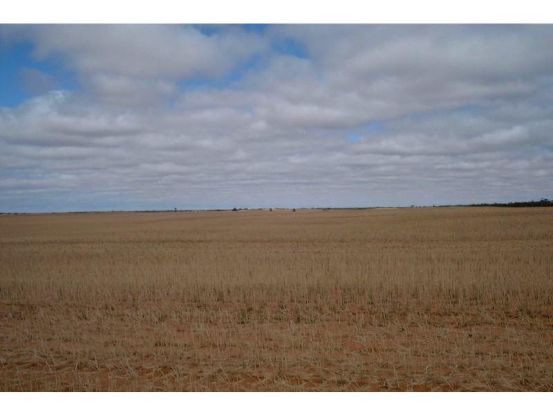 Lot 1 & 2 Wilga Road, Red Cliffs VIC 3496