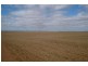 Lot 1 & 2 Wilga Road, Red Cliffs VIC 3496