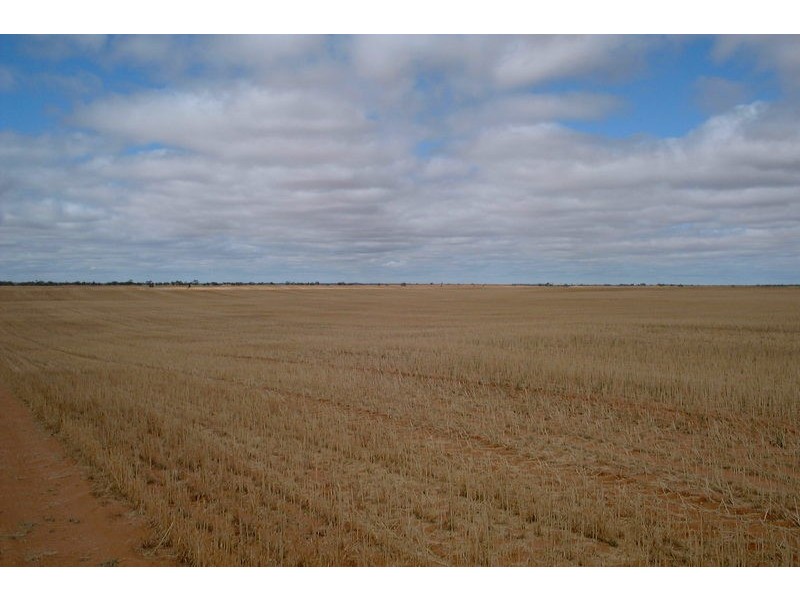 Lot 1 & 2 Wilga Road, Red Cliffs VIC 3496