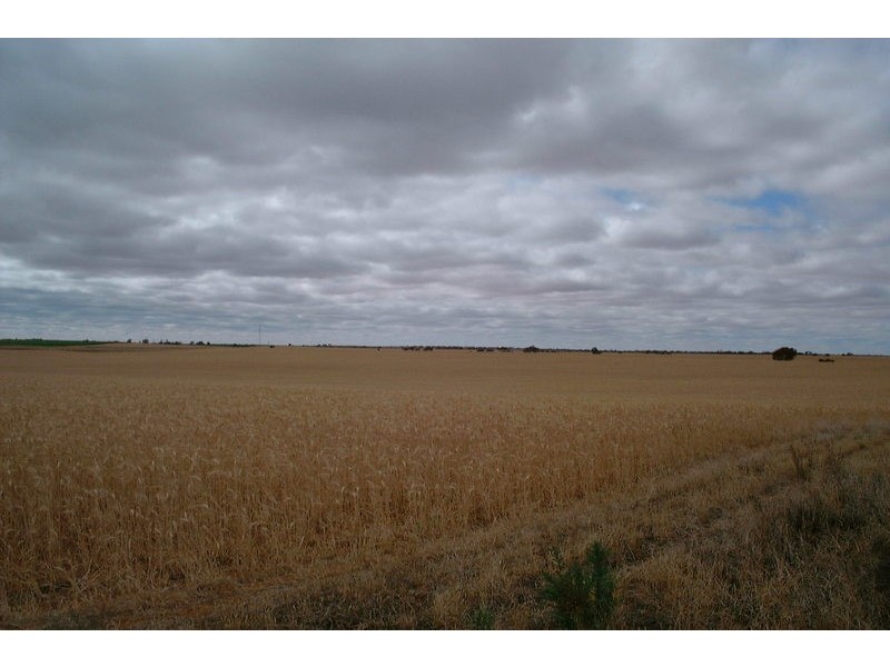 Lot 1 & 2 Wilga Road, Red Cliffs VIC 3496