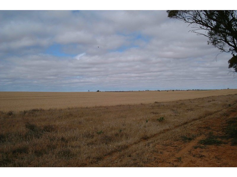 Lot 1 & 2 Wilga Road, Red Cliffs VIC 3496