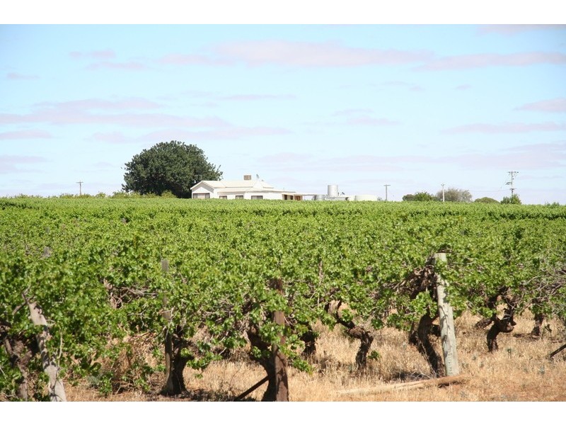 Block 478  Trioda Street, Red Cliffs VIC 3496