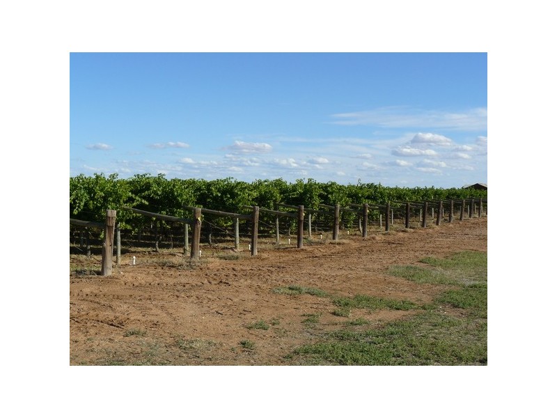 Lot 6 Sheoak Avenue, Merbein South VIC 3505