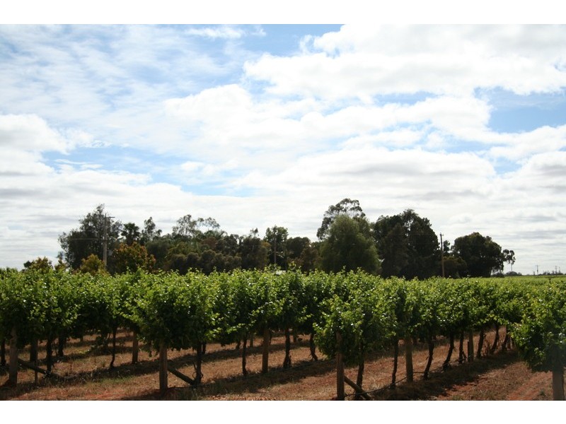 Block 440A Twenty Second Street, Red Cliffs VIC 3496