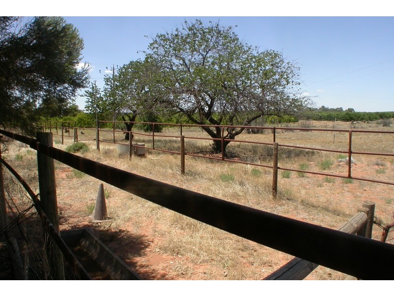 1560 Boonoonar Road, Colignan VIC 3494