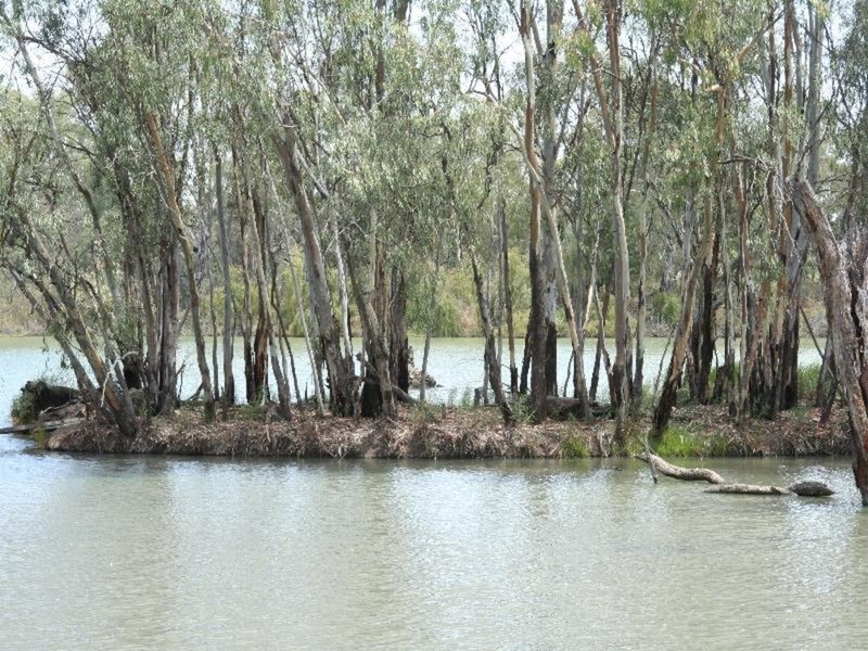 6 Murray Street, Gol Gol NSW 2738