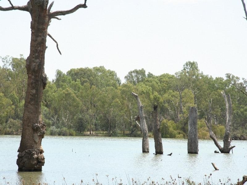 6 Murray Street, Gol Gol NSW 2738