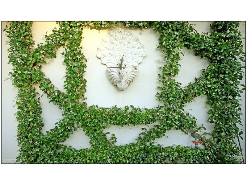 269 Cureton Avenue, Mildura VIC 3500