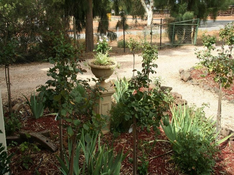 880 Cureton Avenue, Nichols Point VIC 3501