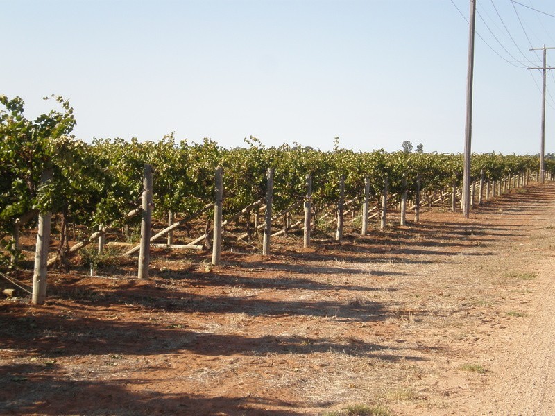 157 Cassia Street, Red Cliffs VIC 3496