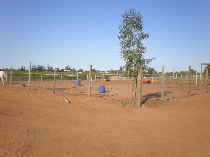 157 Cassia Street, Red Cliffs VIC 3496