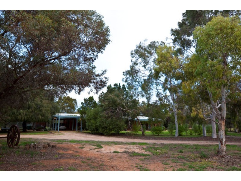87 McPhee Road, Irymple VIC 3498