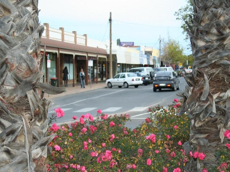 94 Langtree Avenue, Mildura VIC 3500