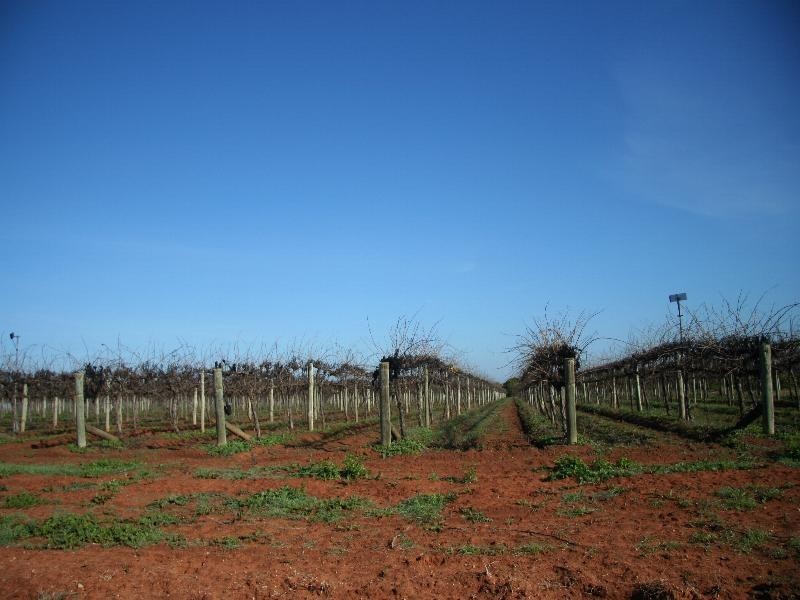 Lot 2 Paschendale Avenue, Merbein VIC 3505