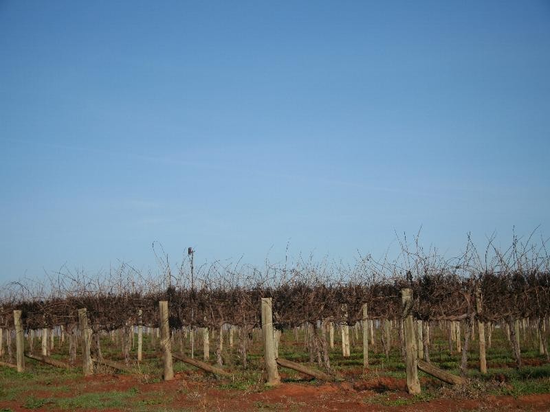 Lot 2 Paschendale Avenue, Merbein VIC 3505