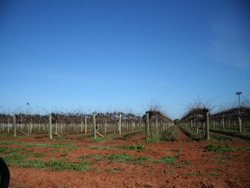 Lot 2 Paschendale Avenue, Merbein VIC 3505