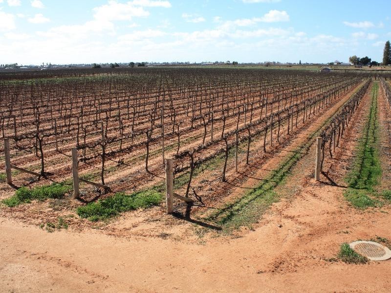 Block 98B Sixth Street, Merbein VIC 3505