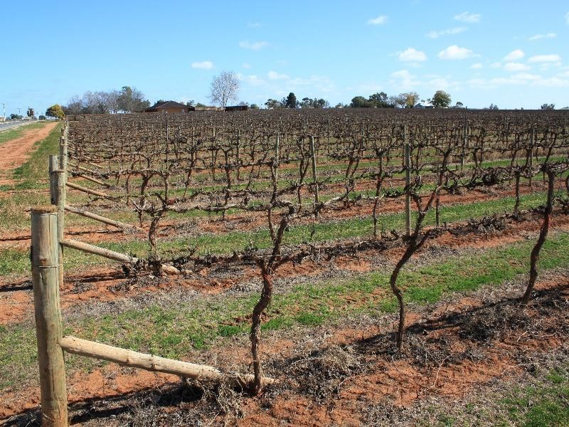 Block 98B Sixth Street, Merbein VIC 3505