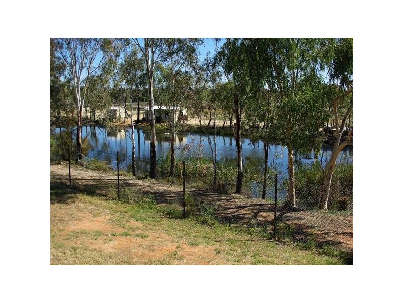 56 Carramar Drive, Gol Gol NSW 2738
