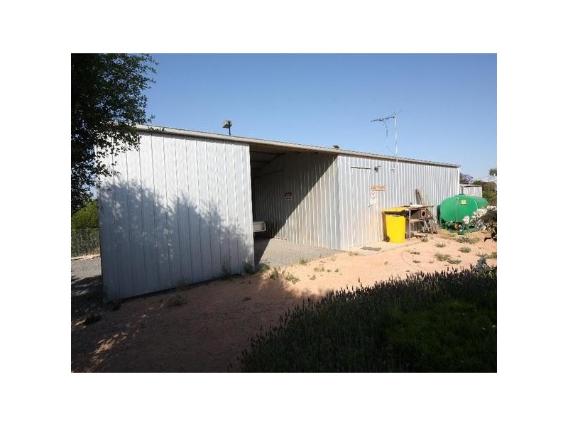 19 Cobb & Co Way, Gol Gol NSW 2738