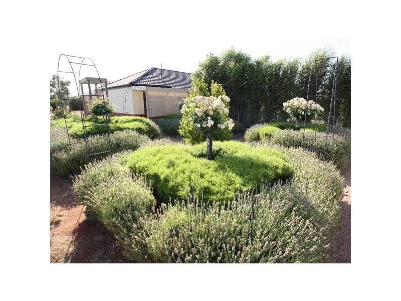 19 Cobb & Co Way, Gol Gol NSW 2738