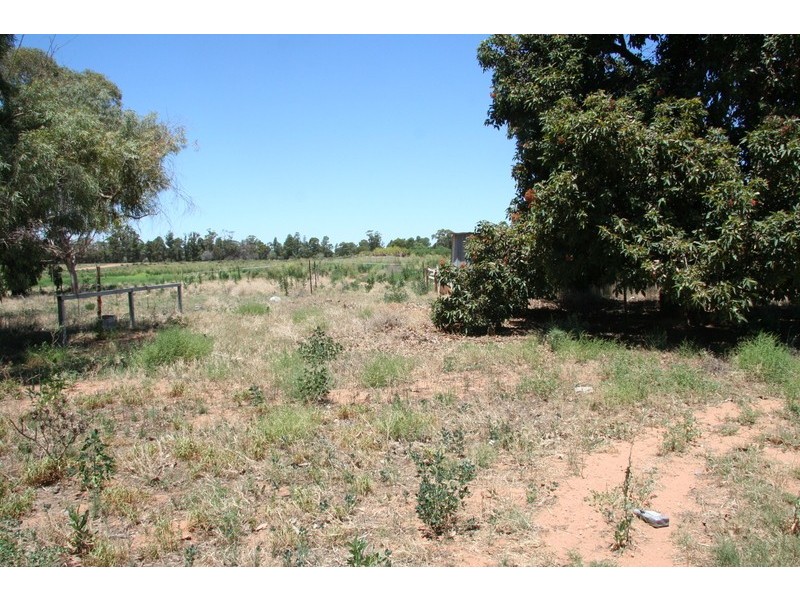 196 Flora Avenue, Mildura VIC 3500