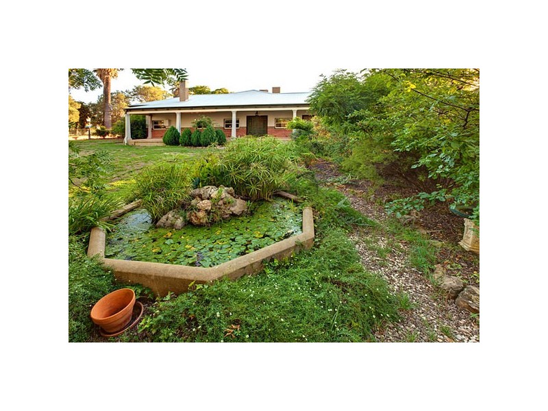 1083 Karadoc Avenue, Irymple VIC 3498