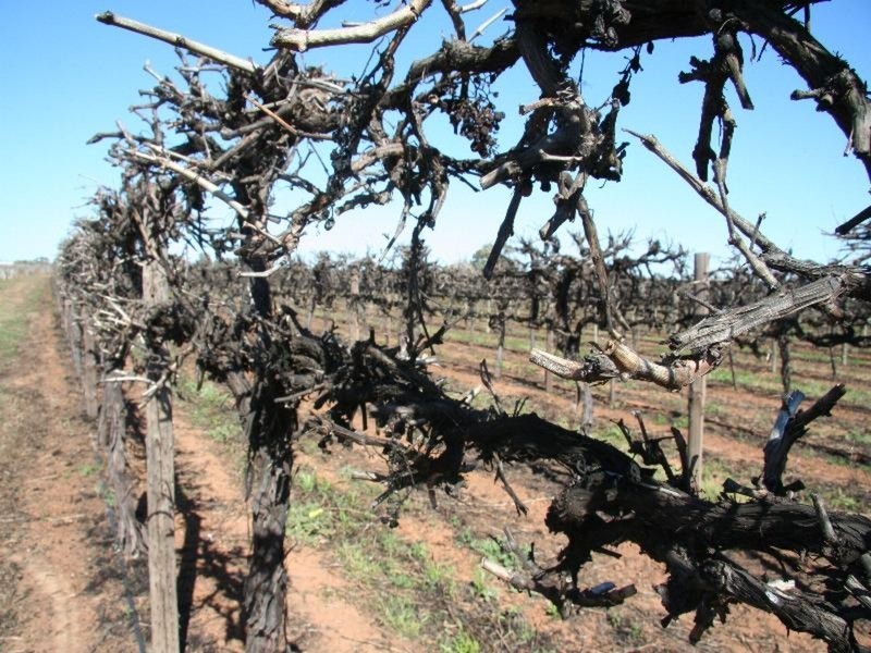 17 First Street, Merbein VIC 3505