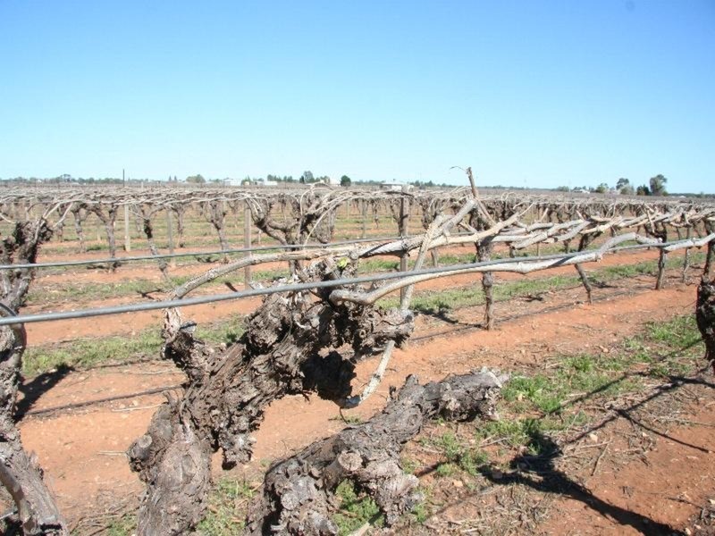 17 First Street, Merbein VIC 3505