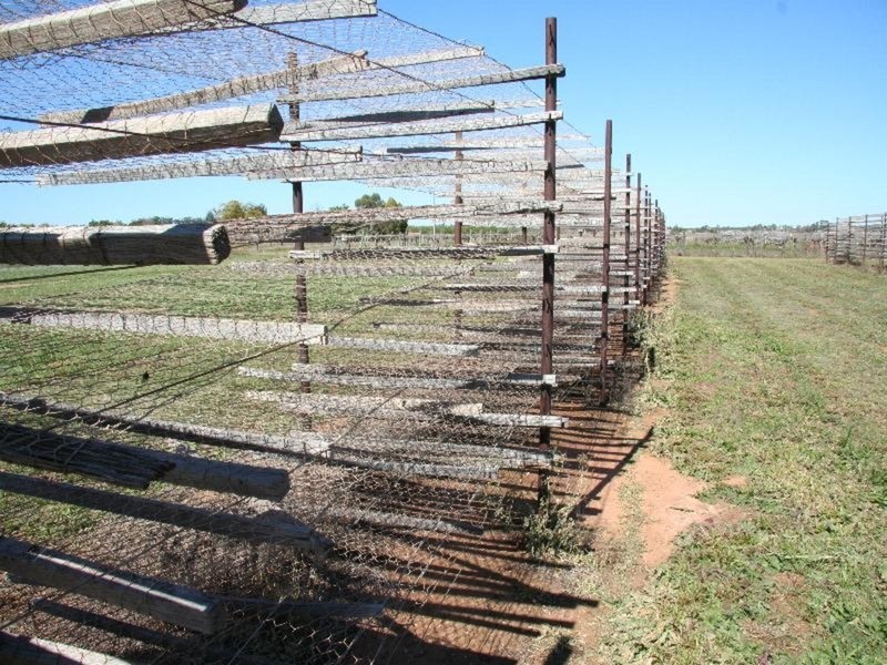 17 First Street, Merbein VIC 3505