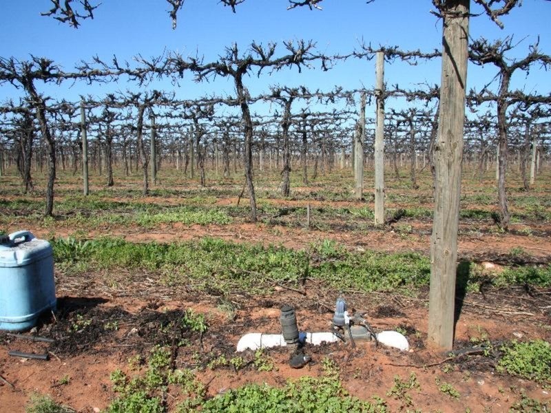 17 First Street, Merbein VIC 3505