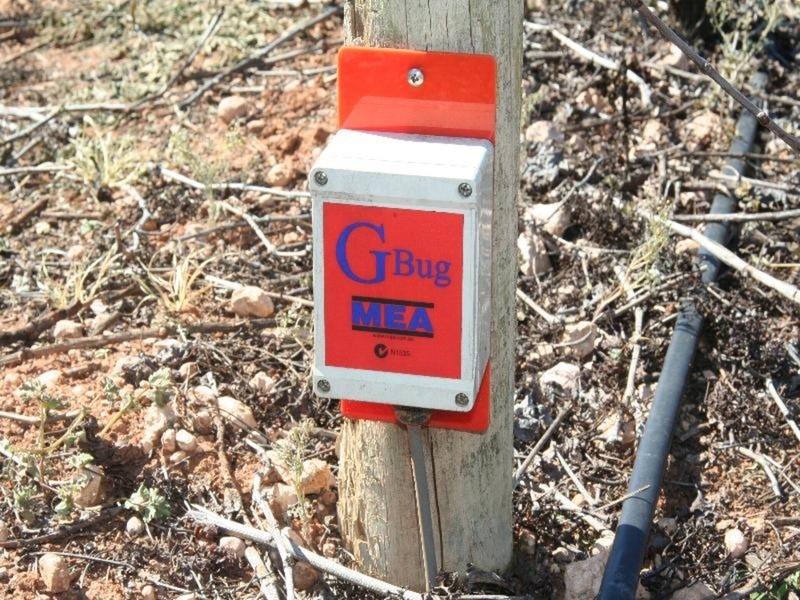 17 First Street, Merbein VIC 3505