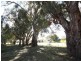 175 Darling Street, Wentworth NSW 2648
