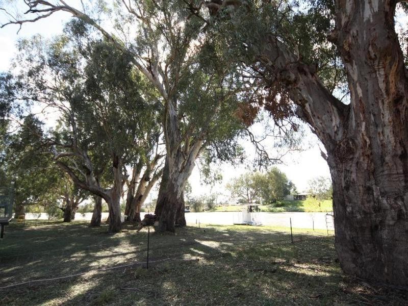 175 Darling Street, Wentworth NSW 2648