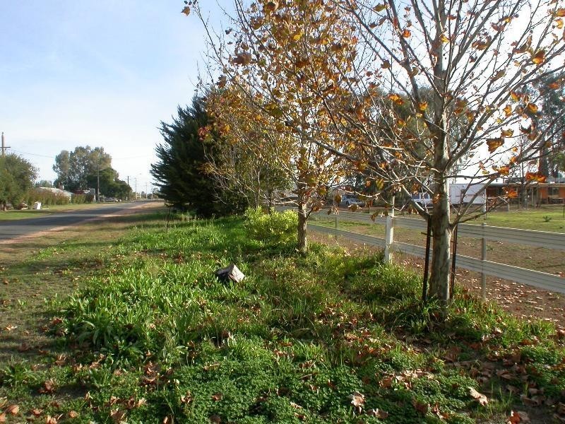 70 Ginquam Avenue, Mildura VIC 3500