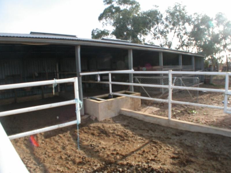 70 Ginquam Avenue, Mildura VIC 3500