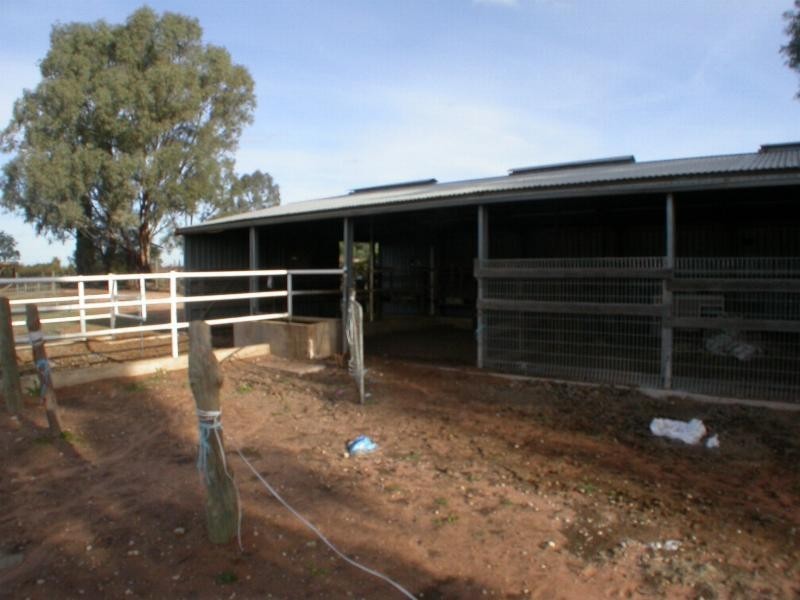 70 Ginquam Avenue, Mildura VIC 3500