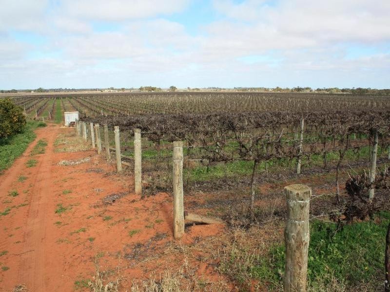 137 Honour Avenue, Merbein West VIC 3505