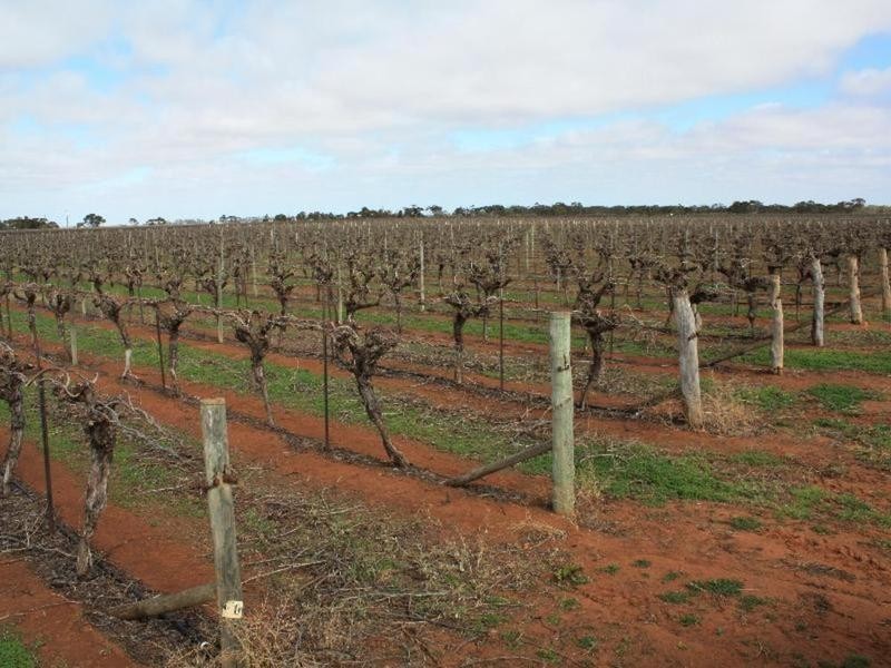 137 Honour Avenue, Merbein West VIC 3505