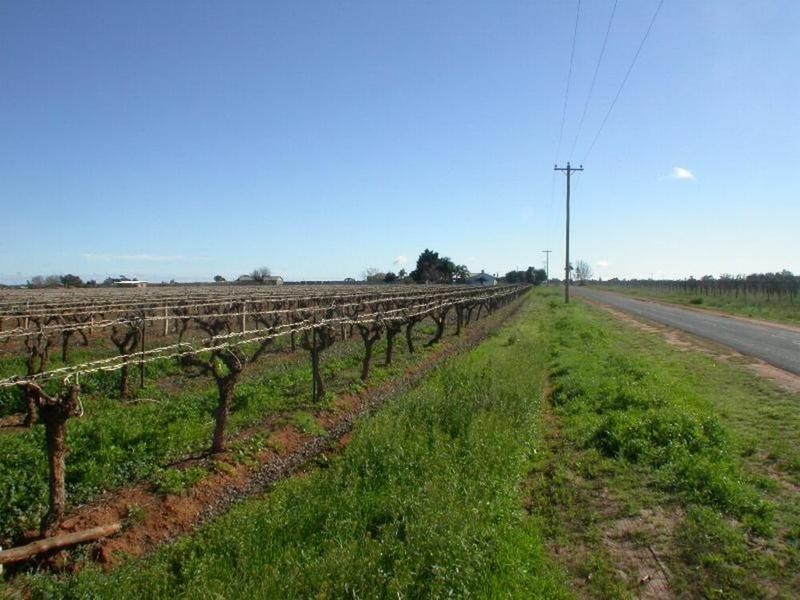 398a Cowanna Avenue, Merbein VIC 3505